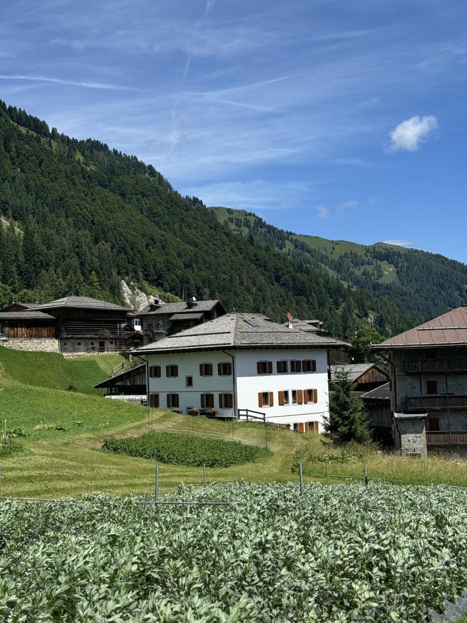 Neider Hotel Sauris Buitenkant foto