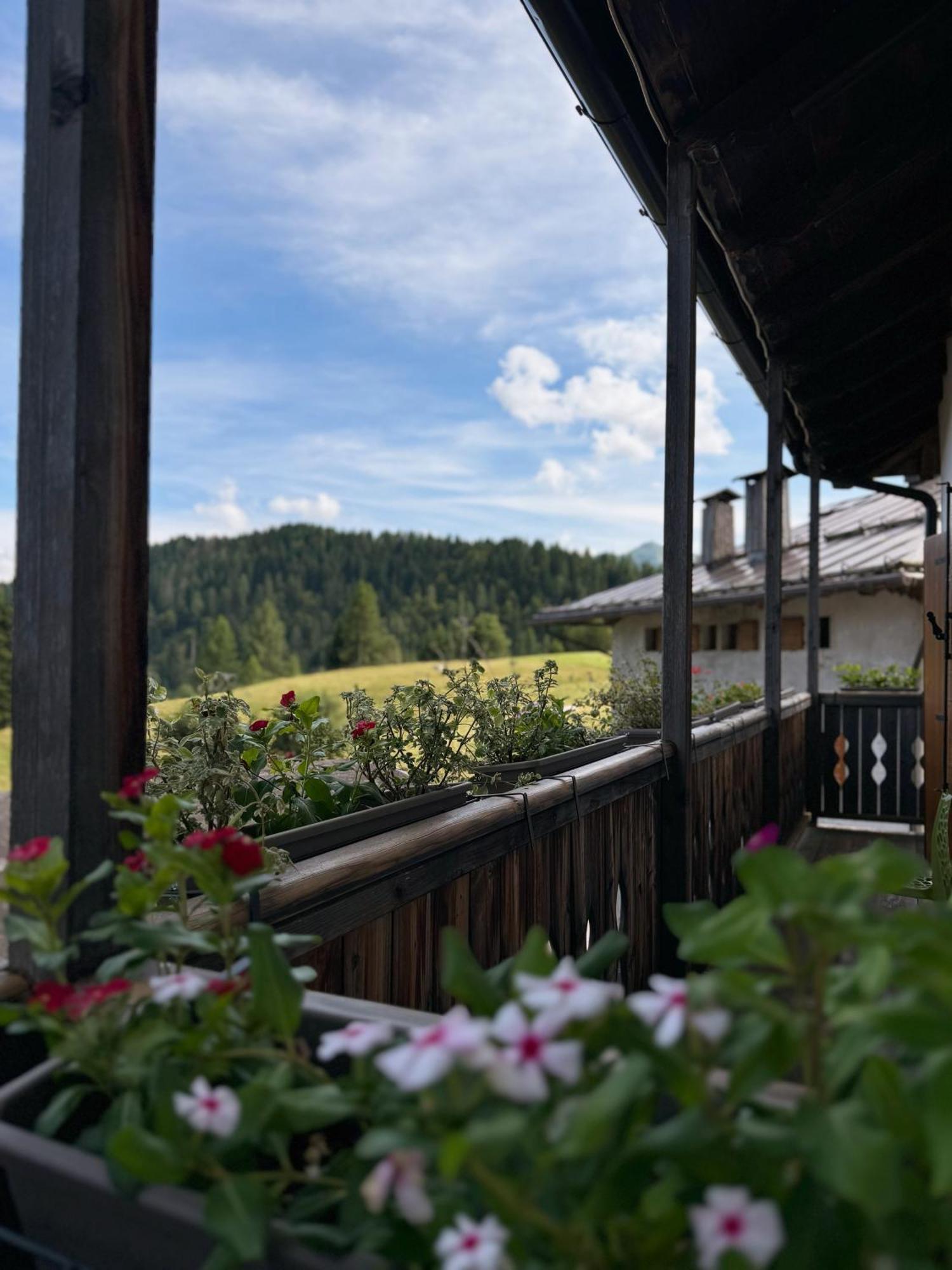 Neider Hotel Sauris Buitenkant foto