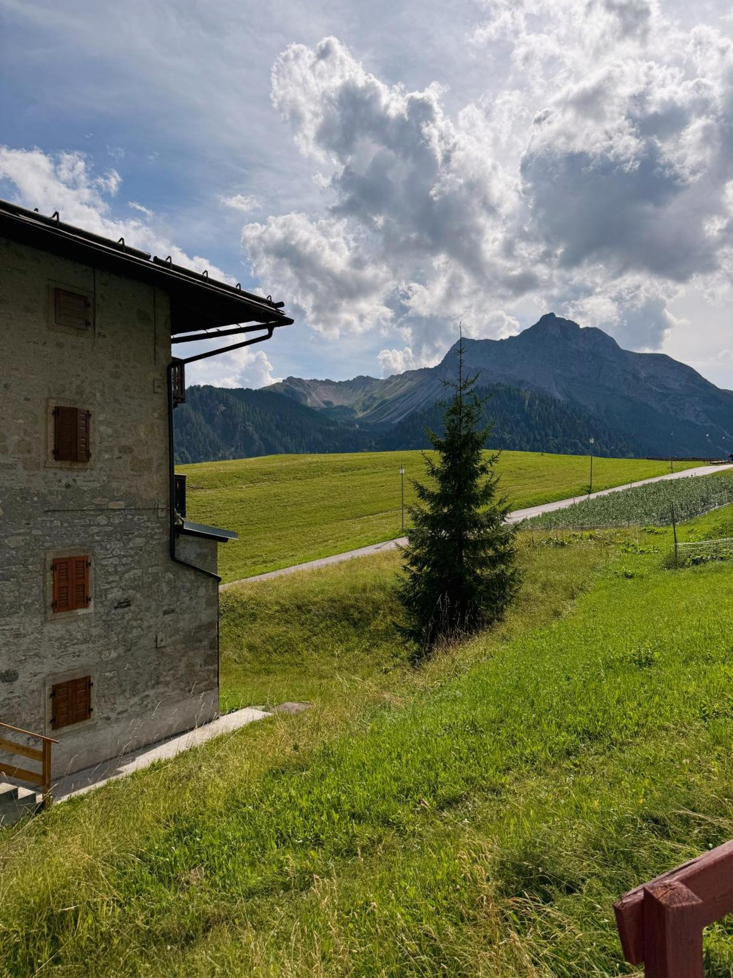 Neider Hotel Sauris Buitenkant foto